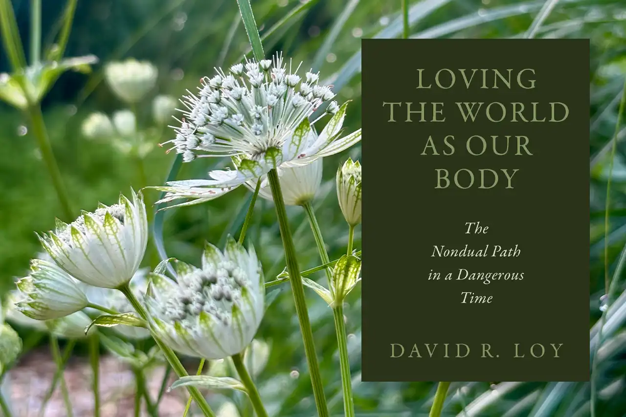 Lezing David Loy 5 september 2026